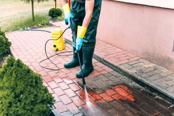 Best Driveway Pressure Washing  in Elkins Rk, PA